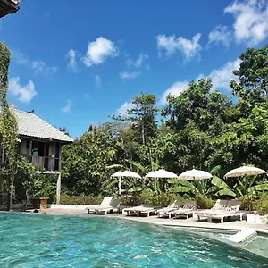 *** 住宿加早餐酒店 巴厘岛宾艮海滩波希住宿加早餐旅馆 印尼